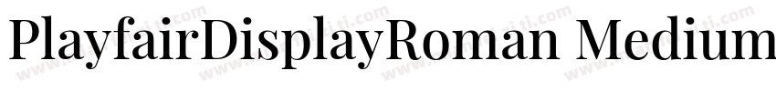 PlayfairDisplayRoman Medium字体转换